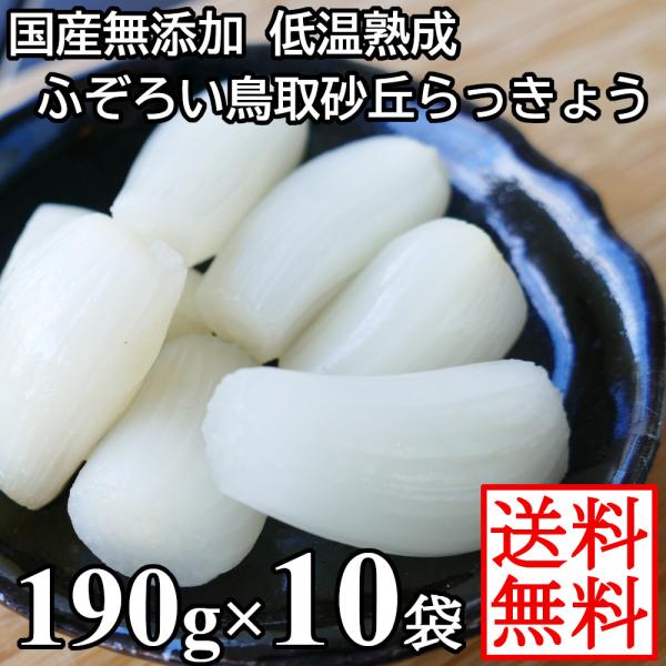 らっきょう 国産 190gx10袋 無添加 低温熟成 鳥取 ふぞろい らっきょう漬け 国産 ラッキョ...