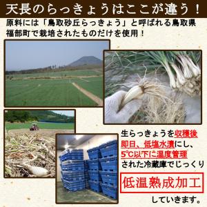 らっきょう 国産 190gx10袋 無添加 低...の詳細画像3