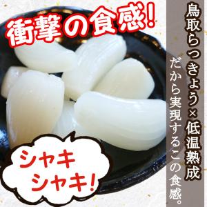 らっきょう 国産 190gx20袋 無添加 低...の詳細画像2