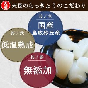 らっきょう 国産 ピリ辛 190gx20袋 鳥...の詳細画像1