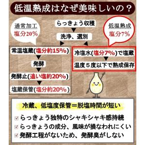 らっきょう 国産 ピリ辛 190gx20袋 鳥...の詳細画像5
