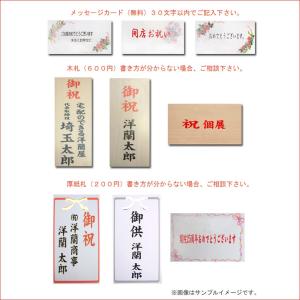 御祝 胡蝶蘭5本立ち 60輪以上/豪華紅白ミッ...の詳細画像4