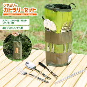 THE NORTH FACE（ザ ノースフェイス） フィルデンス カラトリーケース