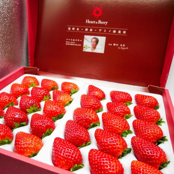 完熟とちあいか　ギフトボックス　30粒入　【高級ホテル・星付きレストラン採用】　贈答用 ブランドいち...