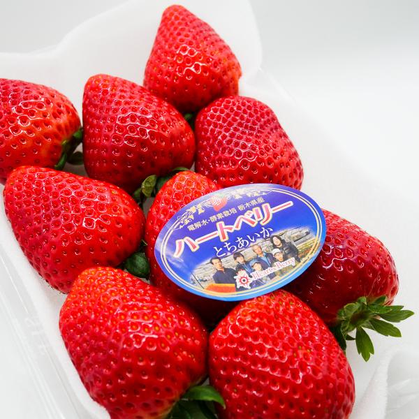 完熟とちあいか　DX（デラックス）　350g　2パック　【高級ホテル・レストラン採用】　いちご　ブラ...