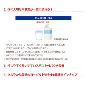 ゼリー 介護食 栄養食 高エネルギー 飲むゼリ...の詳細画像2