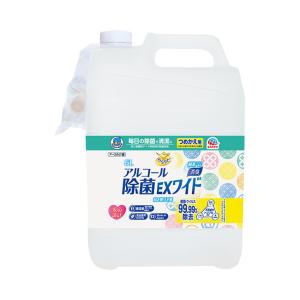 母の日 介護 消臭 快適 スプレー 施設 トイレ 衣類 除菌 ヘルパータスケ らくハピ アルコール除菌EXワイド / つめかえ 5L / 005576｜heartcare