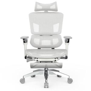 Rasical Chair Elite ラシカル...の商品画像