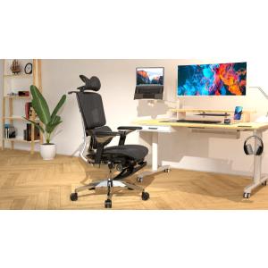 Rasical Chair Elite ラシカ...の詳細画像2