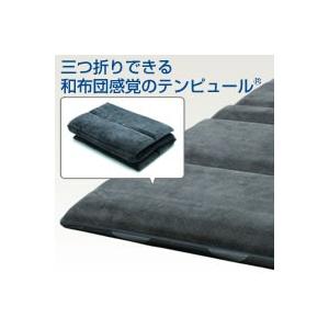 Tempur(テンピュール) Futon-Deluxe(フトンデラックス) S(シングル)ご注文後5〜6営業日後の出荷となります Tempur(テンピュール) Futon-Deluxe(フトンデラックス) S(シングル)ご注文後5〜6営業日後の出荷となります