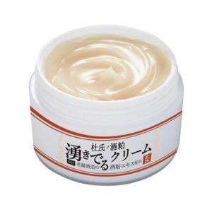 常盤薬品工業 トキワSF薬用パーフェクトジェルクリーム 65g 医薬部外品