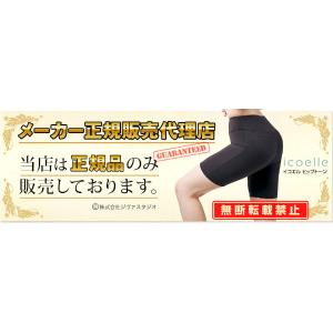icoelle イコエル ヒップトーン EMS...の詳細画像1