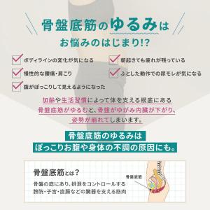 icoelle イコエル ヒップトーン EMS...の詳細画像4
