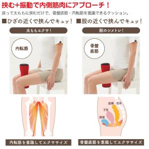 Dr.PRO 骨盤底筋キュットレエクサ 骨盤底...の詳細画像5