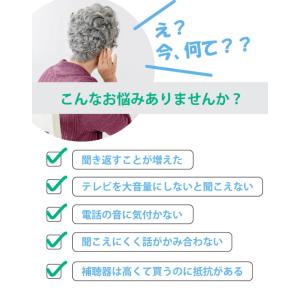超小型集音器 スーパーミニ 片耳1個 耳穴式 ...の詳細画像3