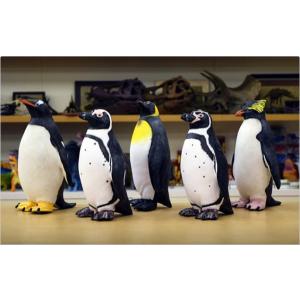 ペンギン ビニールモデル5体セット 70679-72308-72309-72311-72312 フィギュア