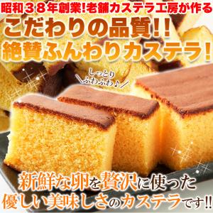 本場長崎のプレーンカステラ大容量900g×3個セット