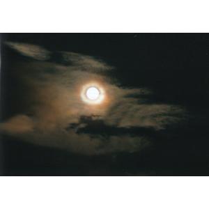 秋元隆良 奇跡の写真 ガジュマルの精霊 キジムナー 開運 幸運 画像