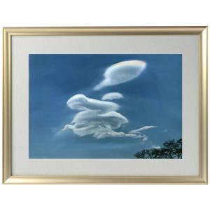 秋元隆良 奇跡の写真 鳳凰 発光 開運 幸運 画像 写真 開運開運フォト