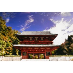 秋元隆良    奇跡の写真              鳳凰ー発光  ～正規品～ 秋元隆良 奇跡の写真 鳳凰 発光 開運 幸運 画像 写真 開運開運