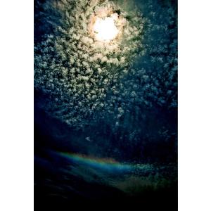 秋元隆良 奇跡の写真 ガジュマルの精霊 キジムナー 開運 幸運 画像