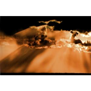 秋元隆良 奇跡の写真 鳳凰 発光 開運 幸運 画像 写真 開運グッズ