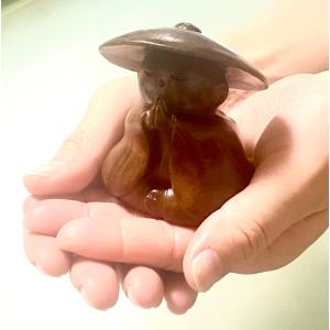 秋元隆良氏 奇跡の写真『ガジュマルの精霊』 Amazon.co.jp: 秋元 隆良『奇跡の写真 ～ガジュマルの精霊（キジムナー