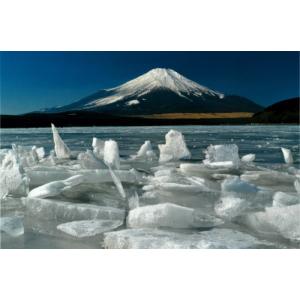 秋元隆良 奇跡の写真 ガジュマルの精霊 キジムナー 開運 幸運 画像