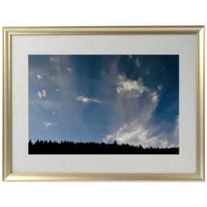 写真「伊勢神宮の大鳥居に龍が昇る」 幸運をもたらす奇跡の写真「伊勢神宮の大鳥居に龍が昇る」FRM-PHT03