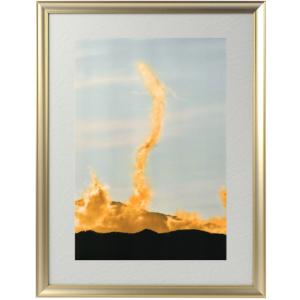 秋元隆良 奇跡の写真 ガジュマルの精霊 キジムナー 開運 幸運 画像