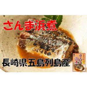 さんま サンマ 浜煮 ×2袋 長崎県五島列島産 産地直送 メ...