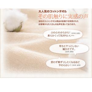 ベッド用 ボックスシーツ ダブル タオル地 コ...の詳細画像5