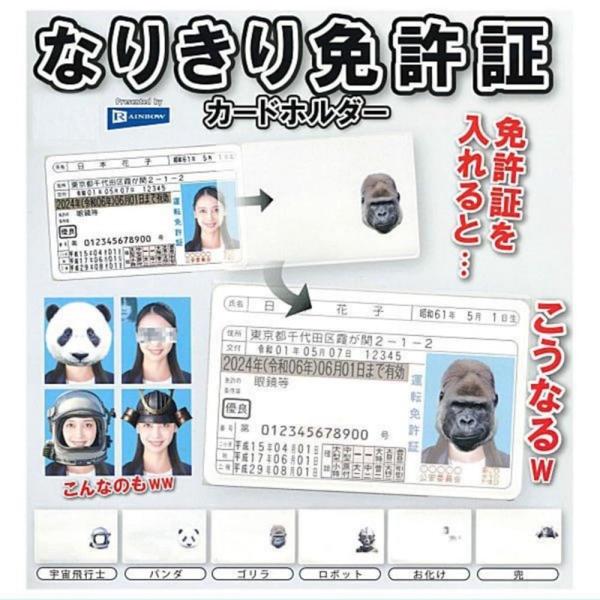 レインボー なりきり免許証カードホルダー × 全6種セット フルコンプ ガチャガチャ カプセルトイ