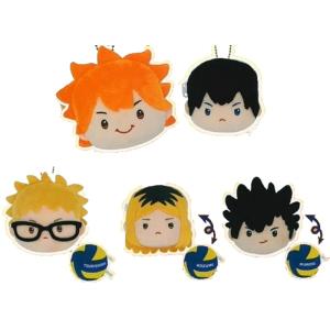 2月予約】 ハイキュー!! もちぴこぬいぐるみ10 全2種セット : F&S