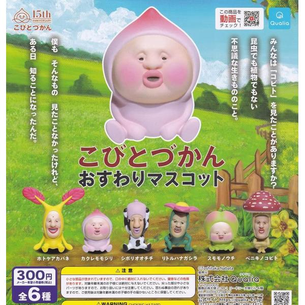 Qualia クオリア こびとづかん おすわりマスコット × 全6種セット フルコンプ ガチャガチャ...