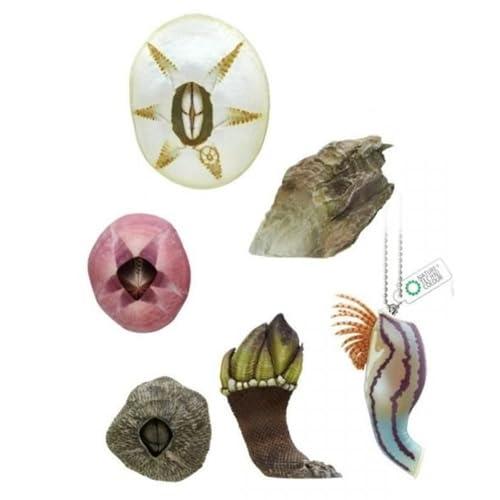 いきもん ネイチャーテクニカラー MONO PLUS フジツボ ボールチェーン × 6種セット ガチ...