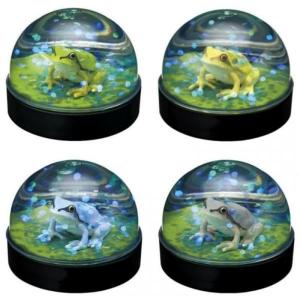 7月再販） カエルの森工房 ニホンアマガエル 全4種セット 【2026年7月