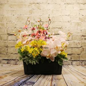 桃の花 胡蝶蘭 菜の花 ウッド アレンジメント ...の商品画像