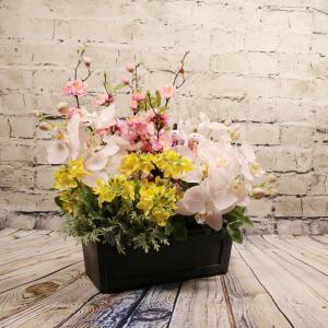 桃の花 胡蝶蘭 菜の花 ウッド アレンジメント...の詳細画像1