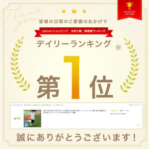 虫取り網 虫網 むしあみ 伸縮式 柄が伸びる ...の詳細画像1
