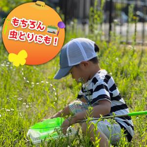 虫取り網 虫網 むしあみ 伸縮式 柄が伸びる ...の詳細画像4