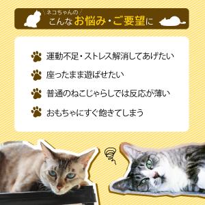 猫 レーザーポインター おもちゃ LEDポイン...の詳細画像1