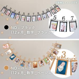 誕生日 フォトガーランド 1歳 誕生日 月齢 ...の詳細画像4