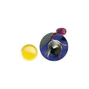 生活の木 有機 ホホバオイル バージン（ゴールデン）未精製