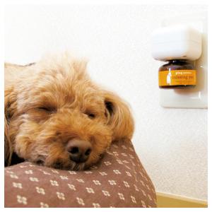 DOG AROMA missing you ミ...の詳細画像1