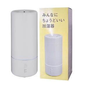Beauwell（ビューウェル） みんなにちょうどいい加湿器 ライトグレー