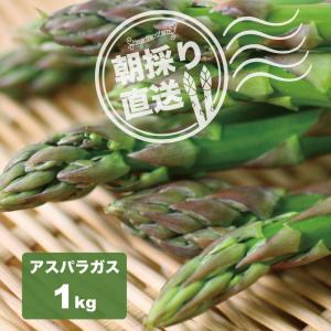 アスパラガス L〜2Lサイズ 1kg（200g×5束） 山形県産 グリーンアスパラガス