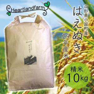 山形県産 はえぬき 精米 10kg 29年産