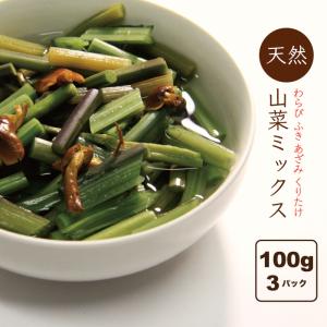 山菜ミックス水煮 国産 山形県小国町 山菜加工品 3パック（100ｇ×3）