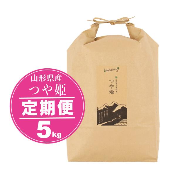 お米 つや姫 定期便 定期購入 お米 5kg 山形県 令和5年産 精白米 送料無料（一部地域を除く）